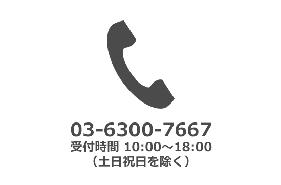 電話番号：03-6300-7667
